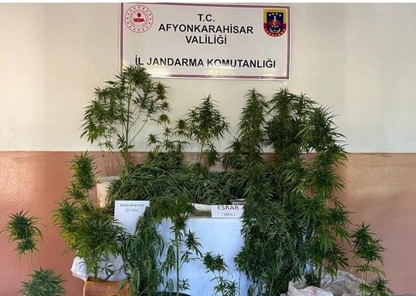 Evlerinin bahçesine kenevir eken iki şahsı jandarma yakaladı
