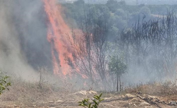 Hatay’da makilik arazi yangını söndürüldü