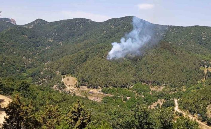 Hatay’da orman yangını