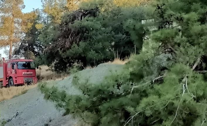 Hatay’da orman yangını büyümeden kontrol altına alındı