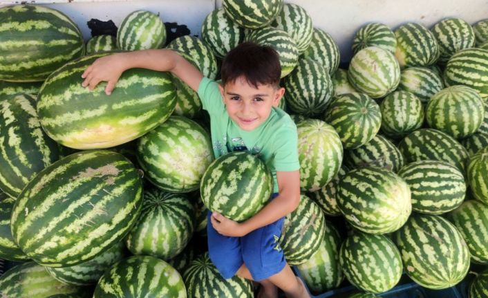 ’Hıdıroz’ karpuzu tezgahlardaki yerini aldı