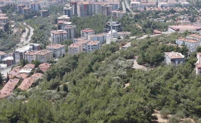 İzmir’de bir mahalle orman yangını korkusuyla yaşıyor