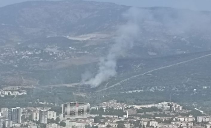 İzmir’de ikinci orman yangını kontrol altında