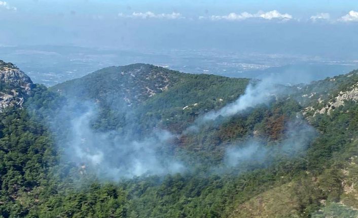 İzmir’deki orman yangını kısmen kontrol altında