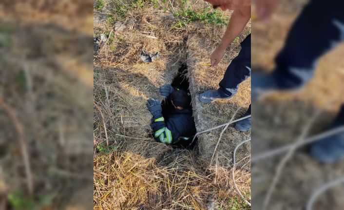 Kanalizasyona düşen keçi kurtarıldı