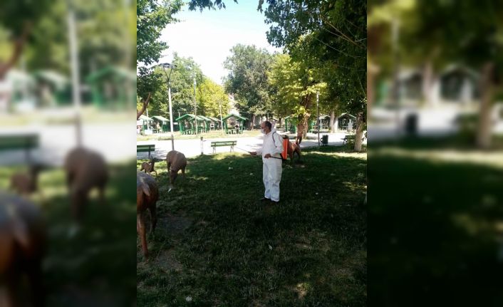 Kars Belediyesi parka ve bahçeleri ilaçlıyor