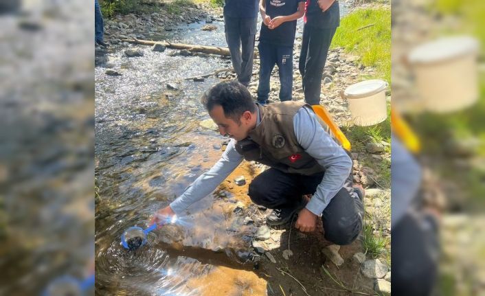 Kars’ta derelere alabalık bırakıldı