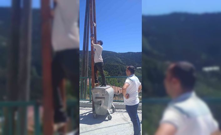 Kastamonu’da ilçe merkezine inen ayılar kamerayla izlenecek