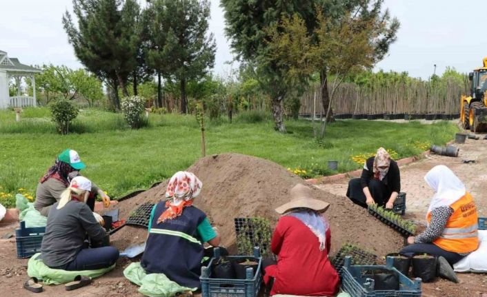 Kayapınar Belediyesi 1 milyon 500 bin bitki üretmeyi hedefliyor