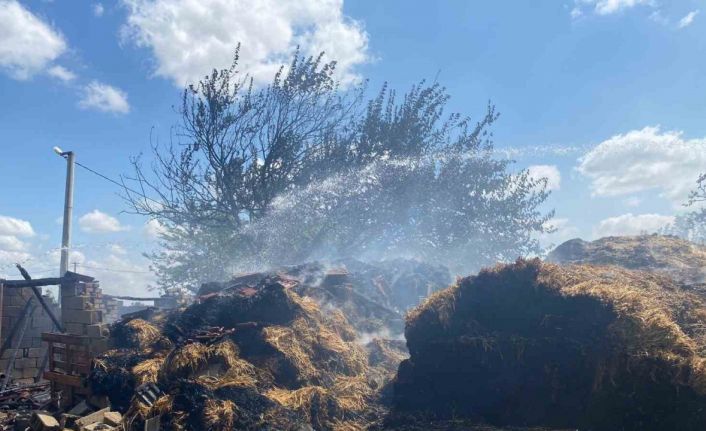 Kırklareli’nde çıkan yangında 800 saman balyası küle döndü