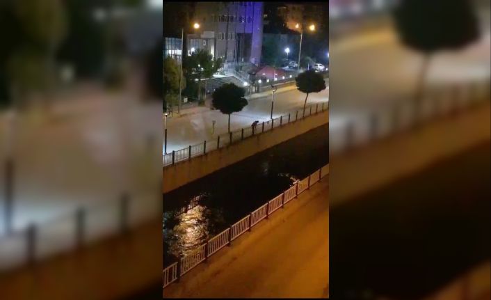 Kızılırmak’tan kovalarla su çekerek ağaçları suladı