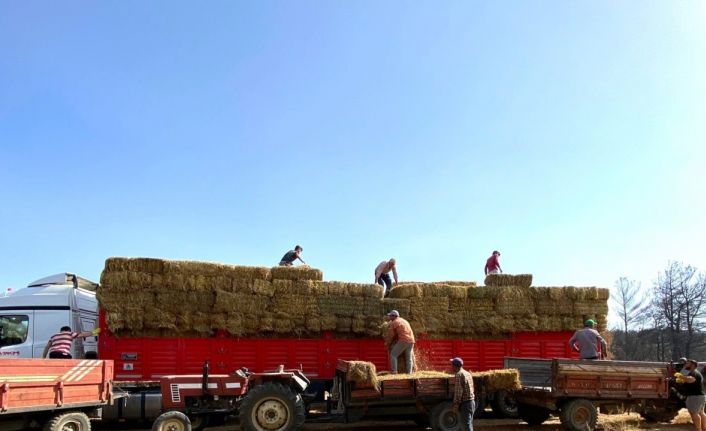 Kocaeli’den Çanakkale’deki yangın mağduru çiftçilere destek