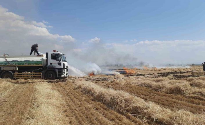 Konya’da arpa ekili tarladaki yangında badem ağaçları zarar gördü