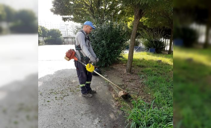 Körfez yabani otlardan temizleniyor