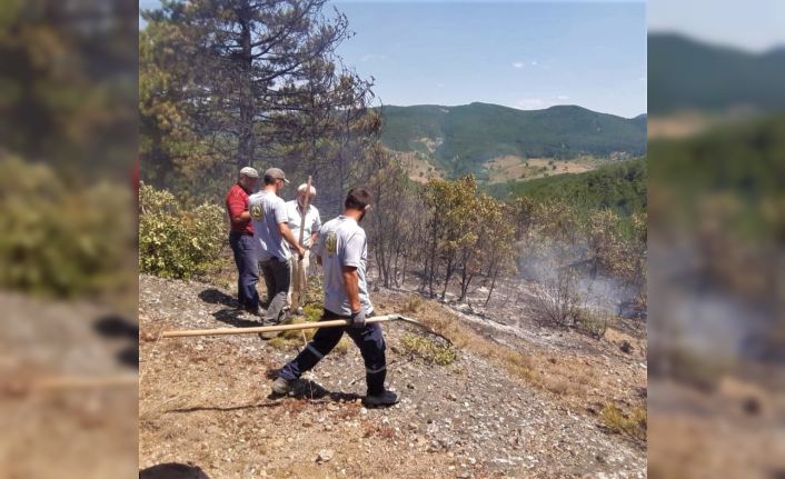 Köylülerin müdahalesi ormanı yanmaktan kurtardı