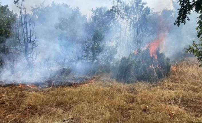 Kütahya’daki orman yangını kısmen kontrol altına alındı