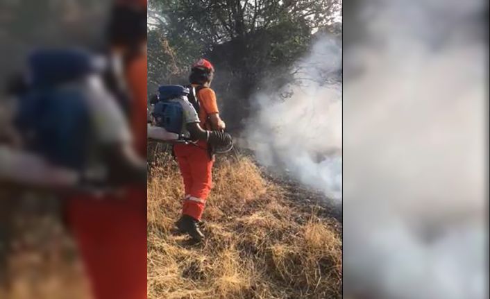 Lice’de örtü yangını 4 saat sonra kontrol altına alındı