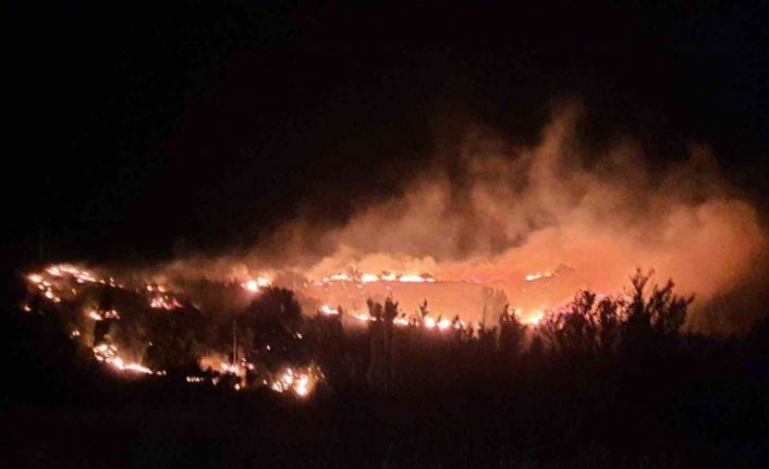 Malatya’da meyve bahçelerinin bulunduğu dağlık alanda yangın