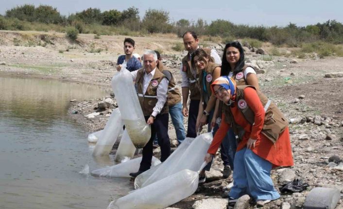 Manisa’da 890 bin sazan suyla buluştu