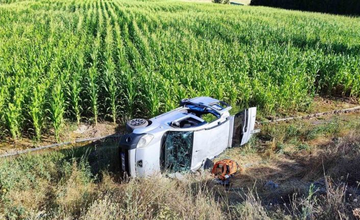 Mısır tarlasına uçan otomobildeki 2 kişi yaralandı