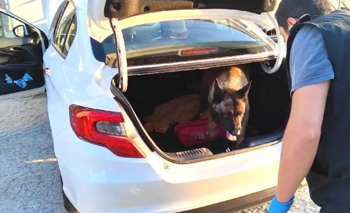 Narkotik köpeği otomobilin bagajındaki uyuşturucuyu buldu