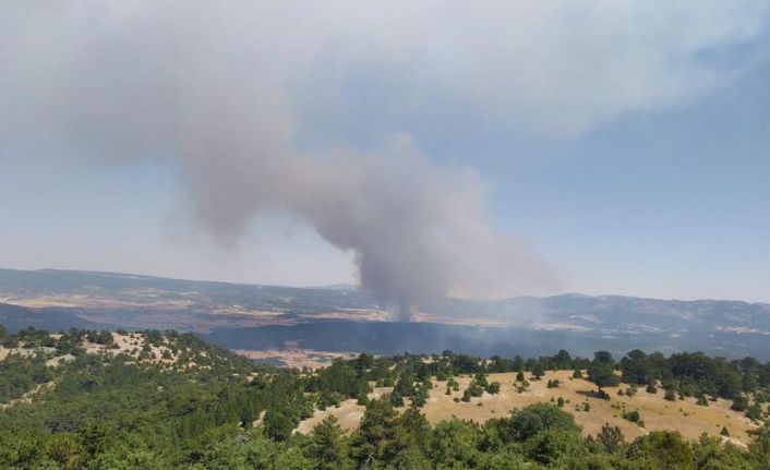 Ormana sıçrayan anız yangını yerleşim yerlerine doğru ilerliyor
