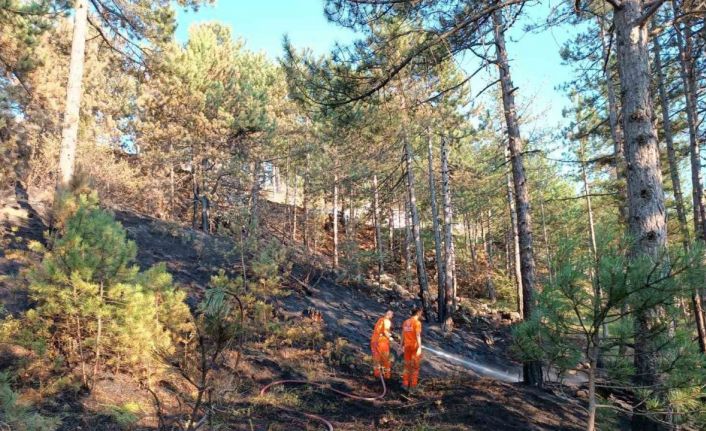 Örtü altı yangınında 2,5 dönüm alan zarar gördü