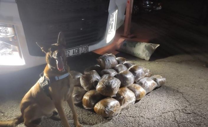 Osmaniye’de arpa yüklü tırda 40 kilo skunk ele geçirildi