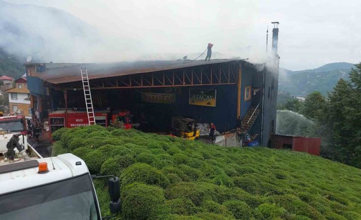 Rize’de çay fabrikasında yangın çıktı