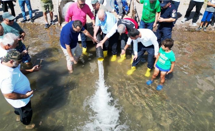 Sapanca Gölü’ne 100 bin balık salındı