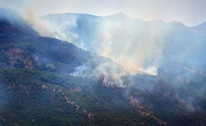 Siirt’teki orman yangını 52 saatin sonunda söndürüldü