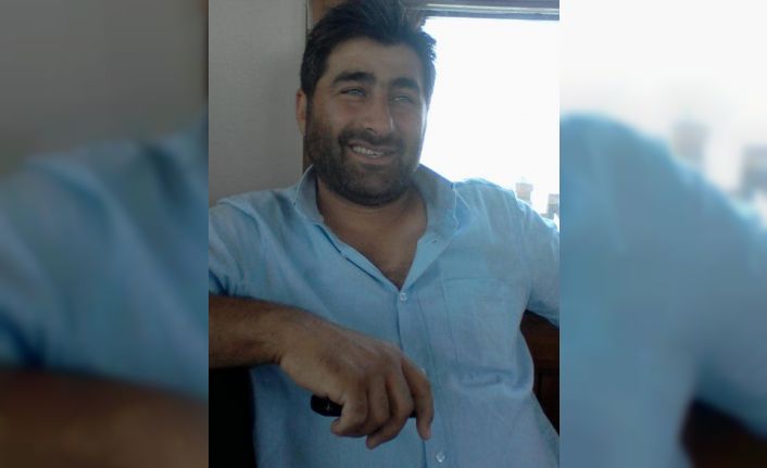 Sinop’ta kesilen ağacın altında kalan işçisi öldü