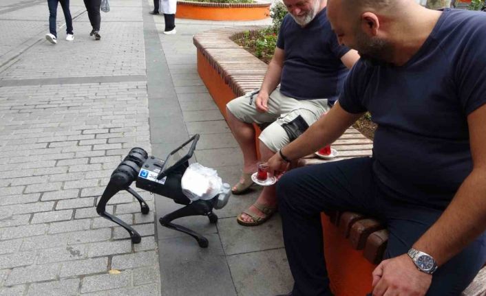 Sokakta gezen robot köpeğe vatandaştan simit-çay ikramı