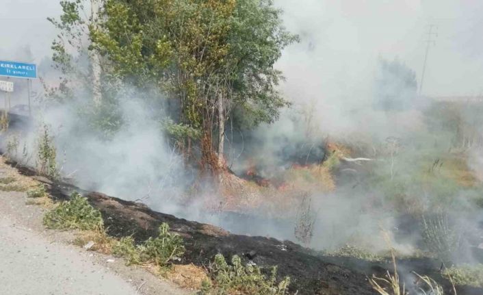 Tekirdağ’da ağaçlık alan kül oldu