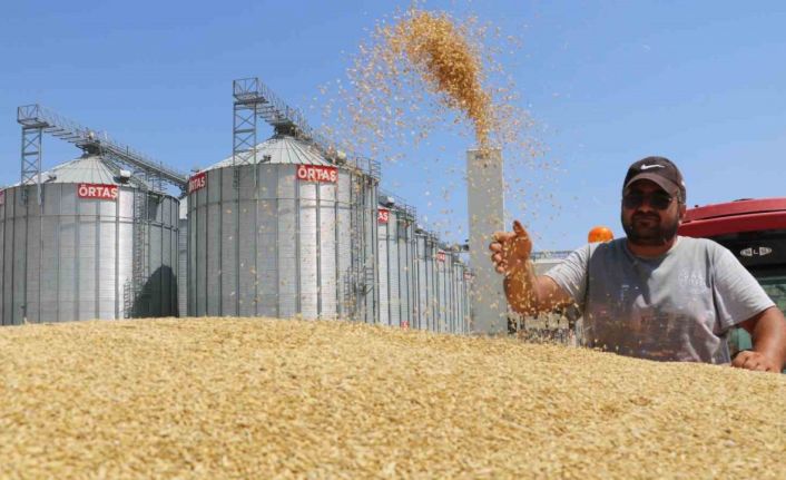 Türkiye’nin buğday ambarında yeni bir rekor bekleniyor