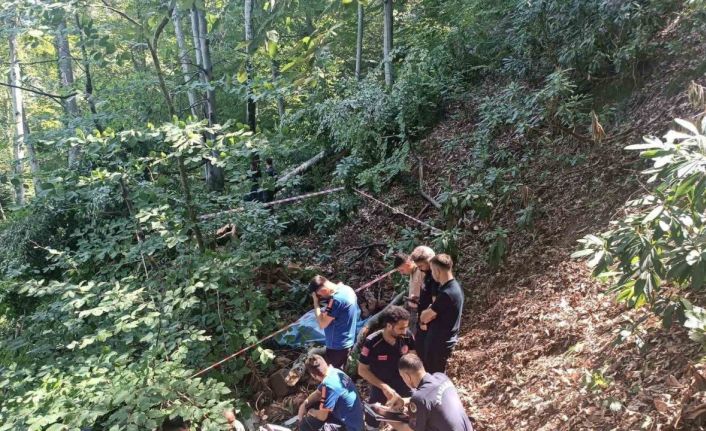 Üzerine ağaç devrilen adam hayatını kaybetti