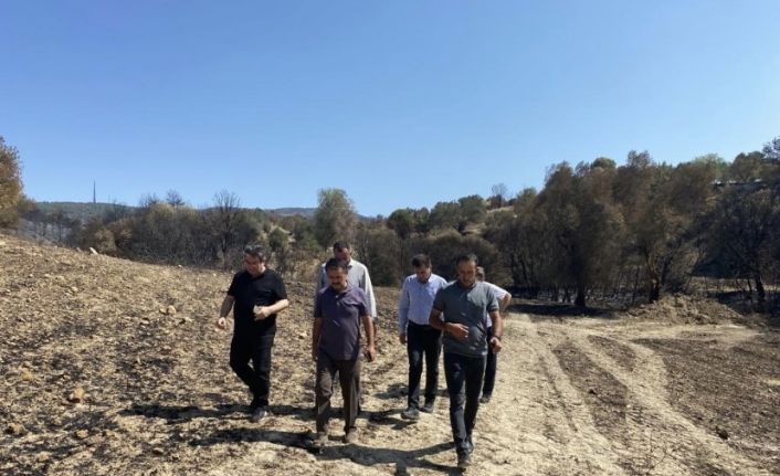 Vali İlhami Aktaş, yangından etkilenen köylerde incelemelerde bulundu