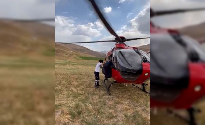 Van’da arı sokmasıyla rahatsızlanan kadın ambulans helikopterle hastaneye kaldırıldı