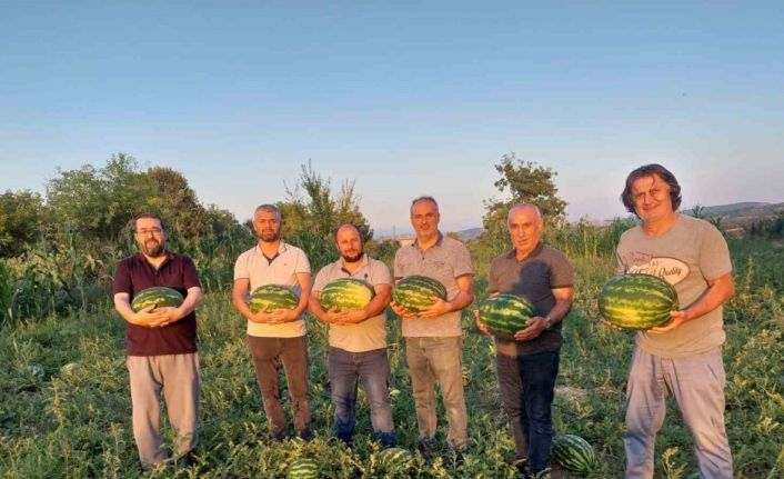 Vezirköprü Ovası’nda alternatif ürün ’karpuz’