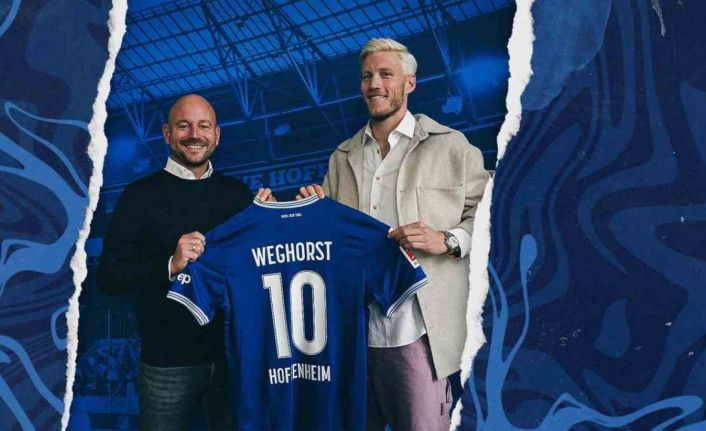 Wout Weghorst, Hoffenheim’da