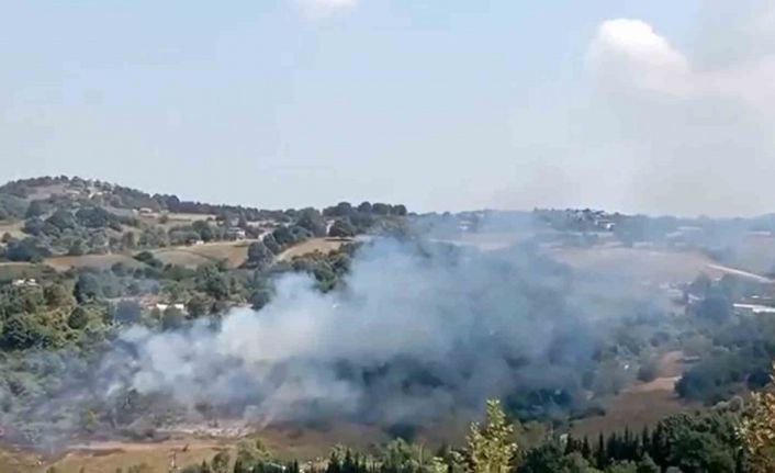 Yalova’da korkutan anız yangını