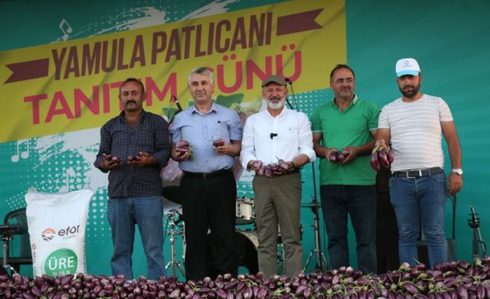 Yamula Patlıcan Festivali’ne 10 Binlerce Kişi Katıldı