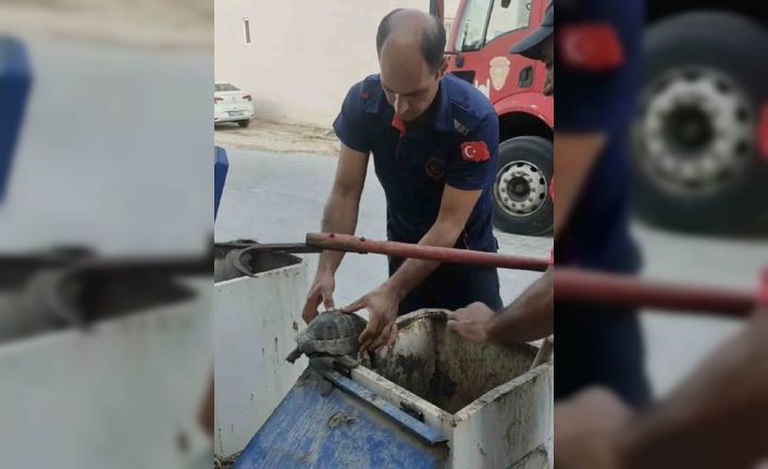 Yeraltı çöp konteynerine atılan kaplumbağayı itfaiye ekipleri kurtardı