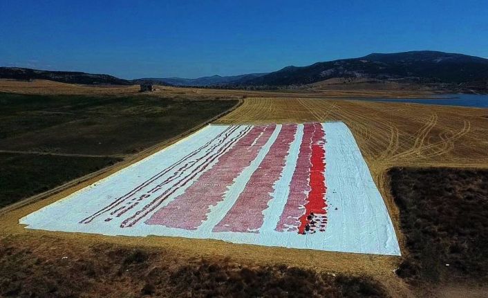 Yozgat’ta kurutulmak için serilen domatesler tarlaları kırmızıya bürüdü