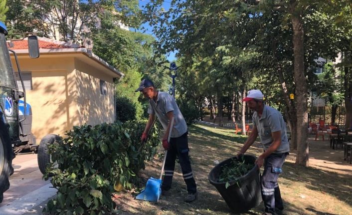 Yunusemre Belediyesinden Yenimahalle’de park bakımı