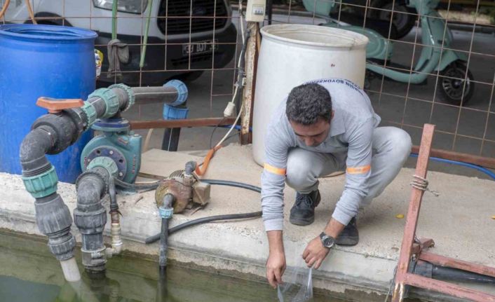 10 bin sulama göletine binlerce ’Lepistes’ balığı bırakıldı