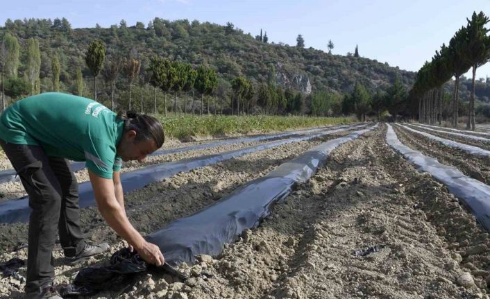 Adabahçe’de kış hazırlıkları başladı