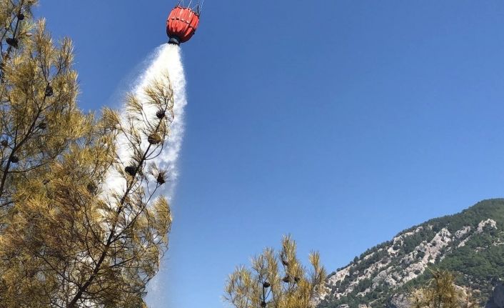 Adana’da orman yangını söndürüldü