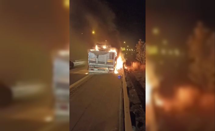 Adana’da otoyolda domates yüklü tır alevlere teslim oldu