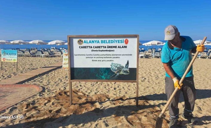 Alanya Belediyesinden caretta carettalara özel çalışma